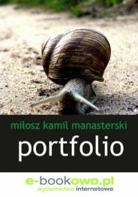 Portfolio - Manasterski Miłosz Kamil