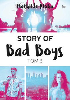 Story of Bad Boys. Tom 3 - Aloha Mathilde