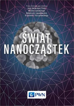 Świat nanocząstek - Kurzydłowski Krzysztof, Lewandowska Małgorzata, Łojkowski Witold